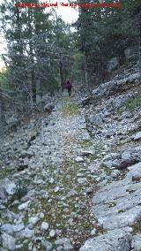 Camino viejo de Valdetrillo. 