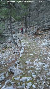 Camino viejo de Valdetrillo. 