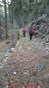 Camino viejo de Valdetrillo. 