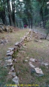 Camino viejo de Valdetrillo. 