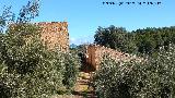 Aldea Los Perales. 