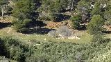Cortijo El Monigote. 