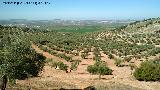 Cerro de las Gateras. Vistas