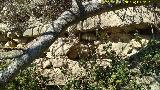 Muralla de Tscar. Detalle