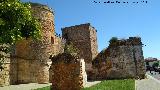 Castillo de los Guzmanes. Torre Circular Sur. Situacin