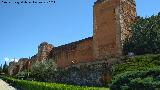 Muralla de Niebla. Torre Norte VI. Situacin