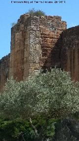 Muralla de Niebla. Torre Norte VI. 