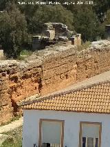 Muralla de Niebla. Torre Norte XI. 