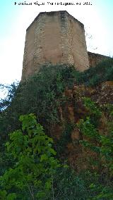 Muralla de Niebla. Torre Noreste. 