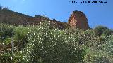 Muralla de Niebla. Torre Este II. 