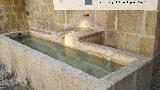 Fuente de San Rogelio. 
