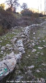 Ca�ada de los Habares