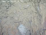 Pinturas rupestres de la Cueva de los Soles Abside III. 