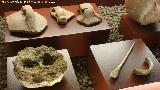 Yacimiento neoltico de la Sima del nfora. Centro de Interpretacin de la Prehistoria de Ardales