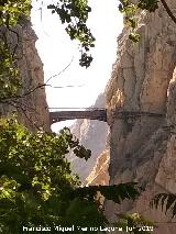 Mirador de la Fuente El Pilar. Puente de los Gaitanes