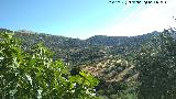 Cabeza del Moro. Vistas hacia la Sierra Martina