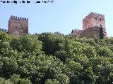 Bosque de la Alhambra. 