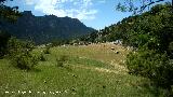 Pista a Caballo Torraso. Vistas