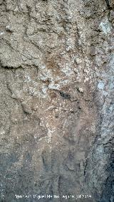 Petroglifos rupestres del Abrigo de la Tinaja VI. Araazos