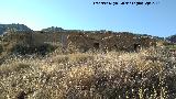 Cortijo de la Atalaya. 