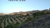 Cerro Lobos. Vistas