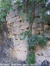 Muralla de la aldea medieval de La Espinareda. Muralla con el estuco original