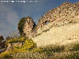 La Mota. Muralla del Arrabal Viejo. Lienzo entre el Torren V y VI