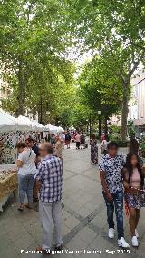 Carrera de la Virgen. 