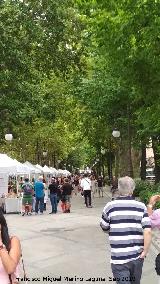 Carrera de la Virgen. 