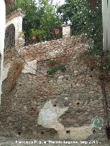 Carmen de las nimas. 