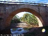 Puente de Linares. 