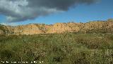Desierto de Fonelas. 