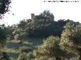 Castillo de Majuela. 