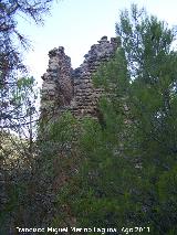 Castillo Puente Honda. 