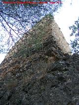 Castillo Puente Honda. 