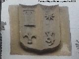 Casa de la Calle C�zar n� 5. Escudo