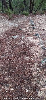 Sendero Fuente del Oso - Puente de las Herrer�as. Restos del antiguo camino