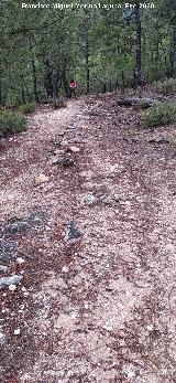 Sendero Fuente del Oso - Puente de las Herrer�as. Restos del antiguo camino