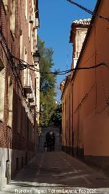 Calle Jard�n Bot�nico. 