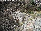 Cabecera del Ro Albanchez. Formaciones rocosas del curso del ro