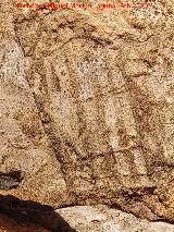 Abrigo del Reticulado. Reticulado