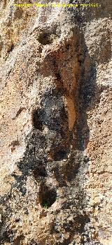 Abrigo de las Cazoletas de las Pe�as de Castro. Cazoletas