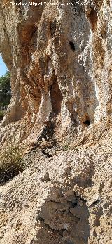 Abrigo de las Cazoletas de las Pe�as de Castro. Abrigo