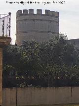 Alc�zar de Jerez. Torre Octogonal. 
