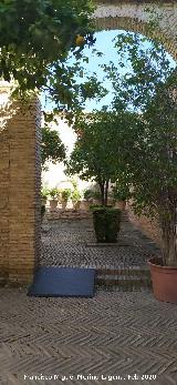 Alc�zar de Jerez. Mezquita. Acceso al molino desde el Patio de los Naranjos
