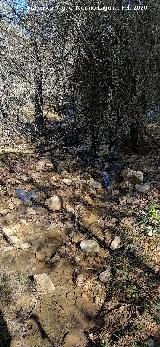 Arroyo del Barranco de la Ca�ada de las Fuentes. 