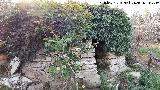 Caracol de la Veredilla. 