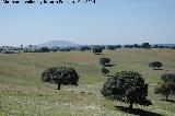 Monasterio Casera de Don Bernardo. Antiguos campos de cultivo del monasterio