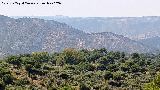 Loma de Elgu�n. Desde el Mirador del Peregrino