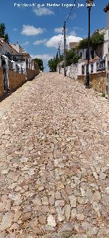 Calle Hortalizas. 